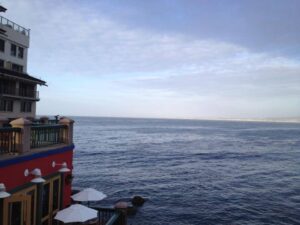 See where the tables are down below? We were inside the restaurant, on the other side of them. I love a good seafood restaurant!